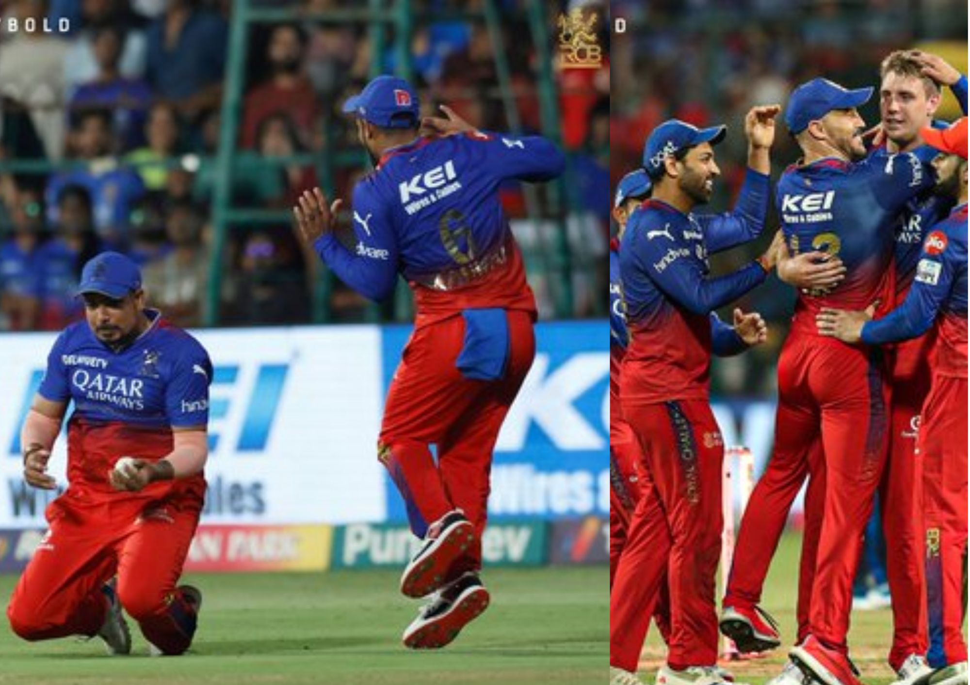 RCB IPL 2024 Playoffs: